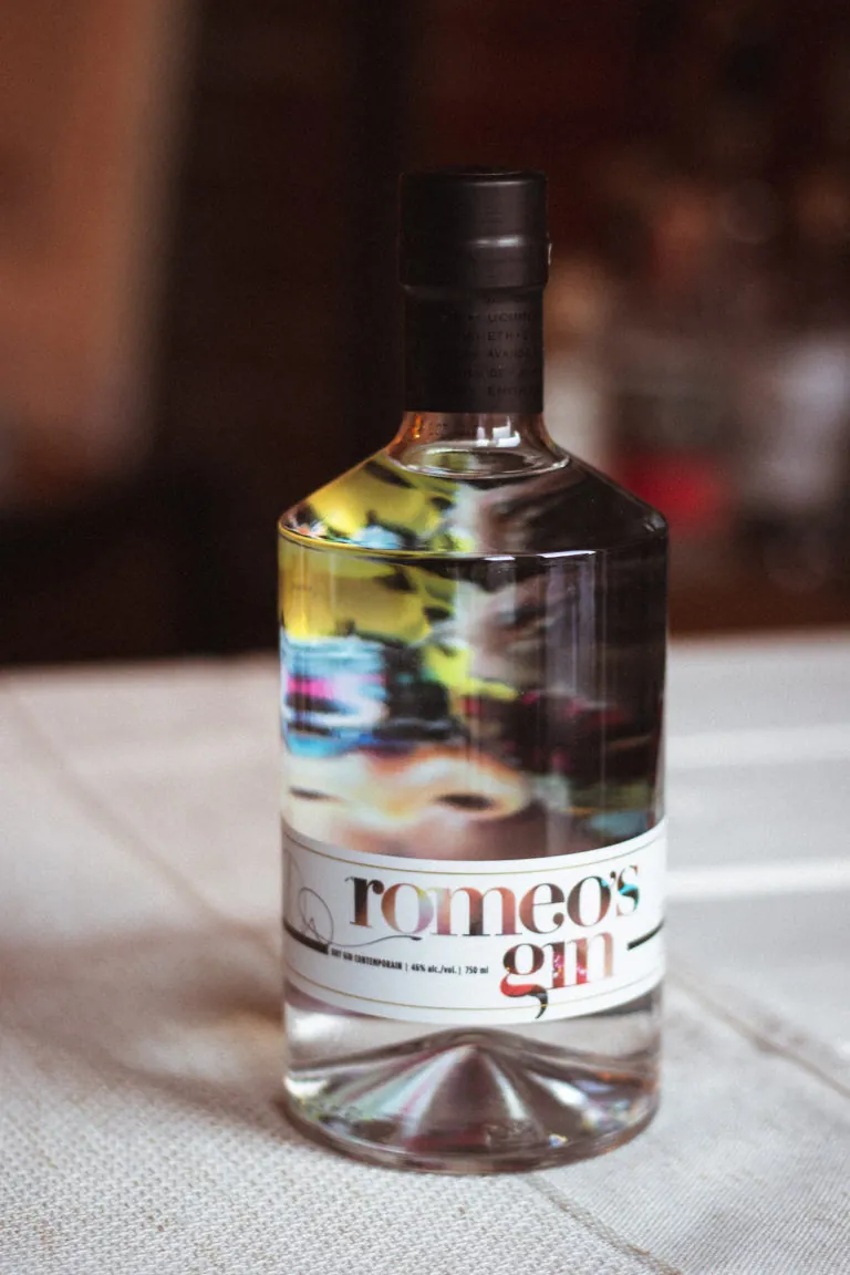 Top 5 des meilleurs gins québécois 1 ou 2 Cocktails