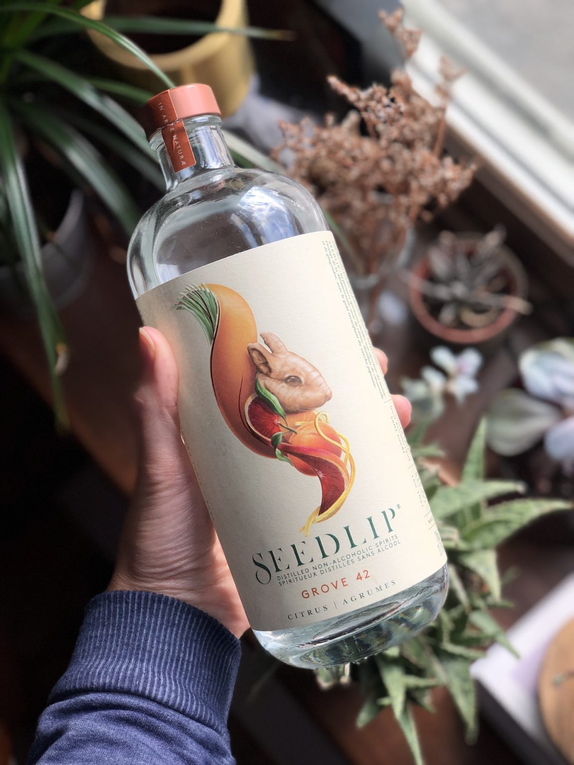 Les meilleurs gins sans alcool québécois et pourquoi 1 ou 2 Cocktails